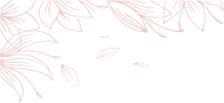 Advanced Ombre Shading